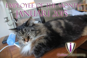 Miko is de medewerker van de maand Januari